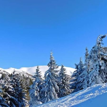 Jalovik Izvor Stara Planina Vila Vesela Kuca מראה חיצוני תמונה