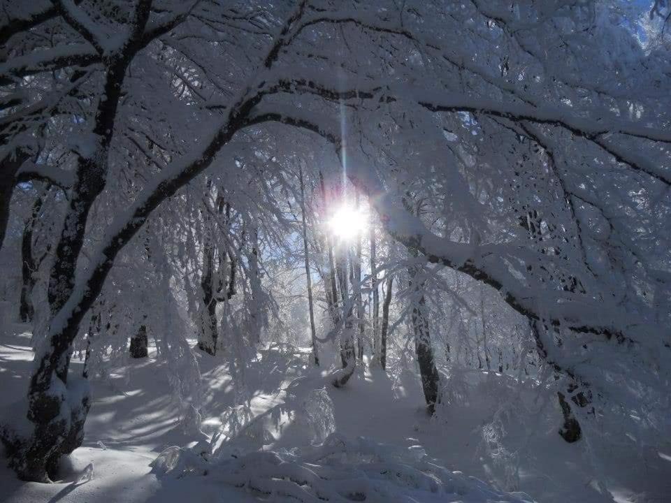 Jalovik Izvor Stara Planina Vila Vesela Kuca מראה חיצוני תמונה