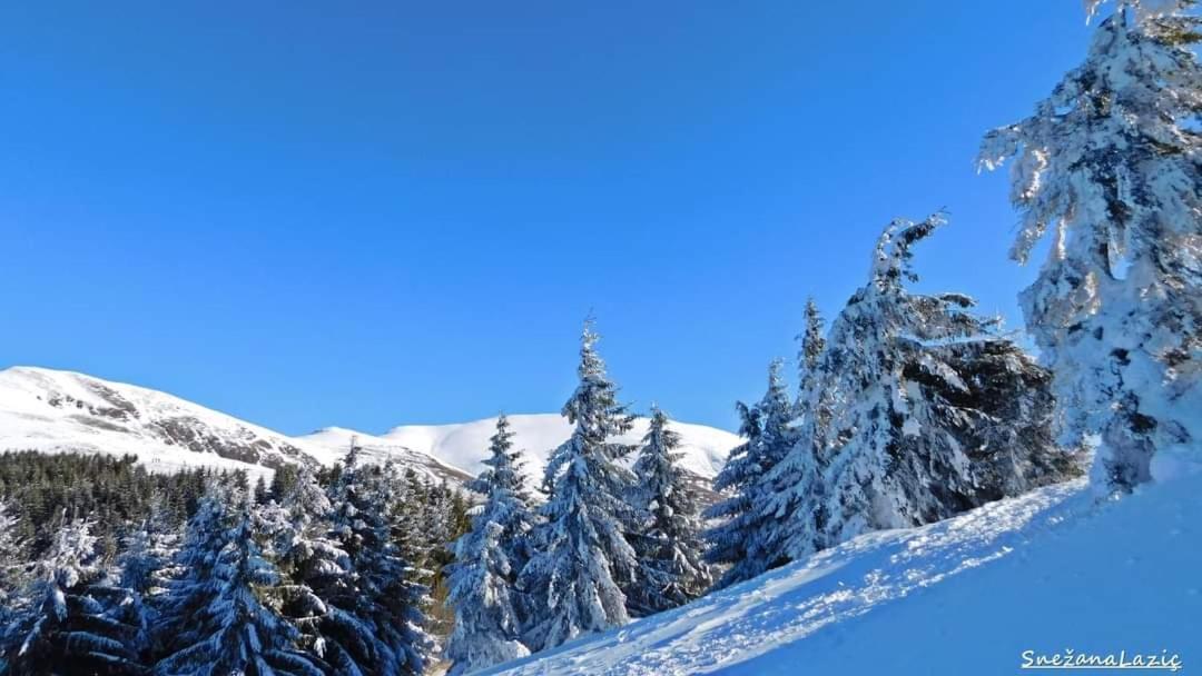 Jalovik Izvor Stara Planina Vila Vesela Kuca מראה חיצוני תמונה