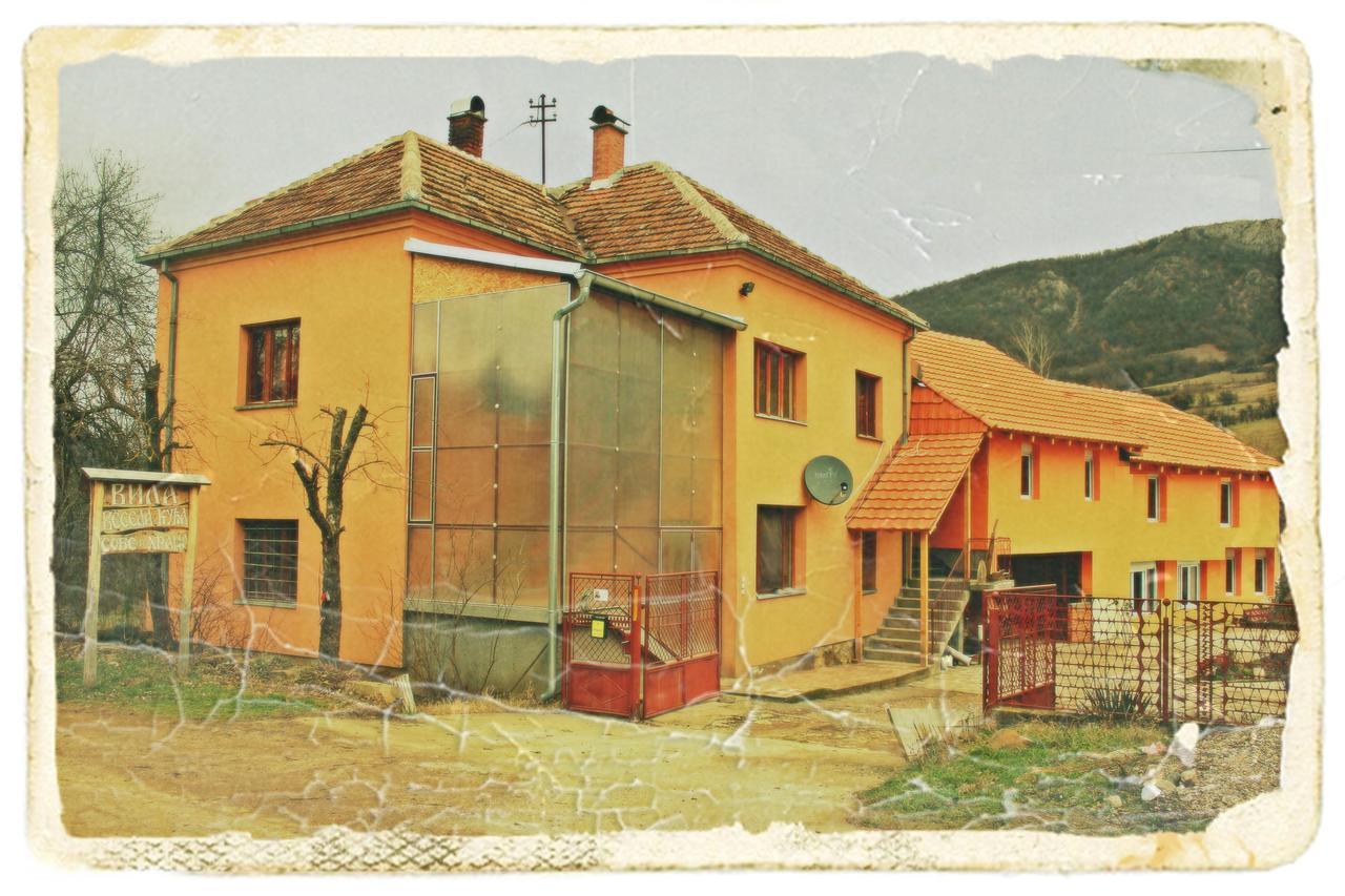 Jalovik Izvor Stara Planina Vila Vesela Kuca מראה חיצוני תמונה